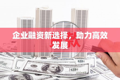 芦洲企业融资新选择，助力高效发展