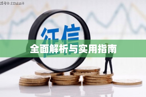 芦洲全面解析与实用指南
