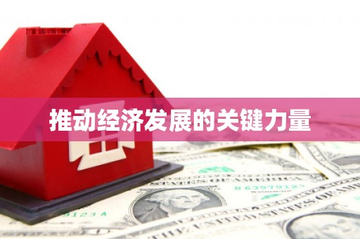 芦洲推动经济发展的关键力量