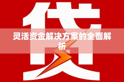 芦洲灵活资金解决方案的全面解析