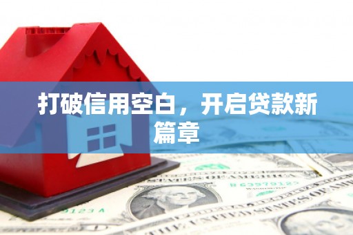 芦洲打破信用空白，开启贷款新篇章