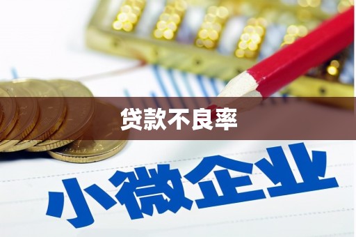 芦洲贷款不良率