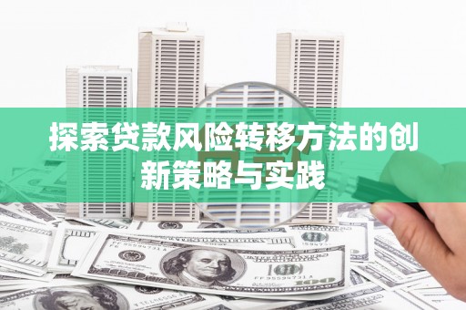 芦洲探索贷款风险转移方法的创新策略与实践