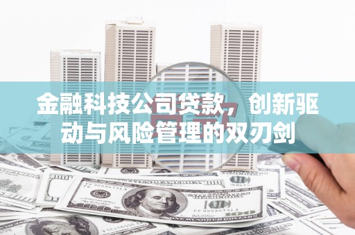 芦洲金融科技公司贷款，创新驱动与风险管理的双刃剑