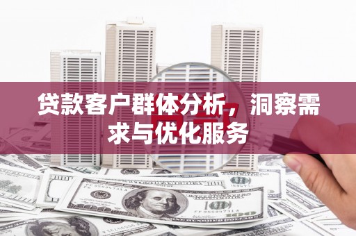 芦洲贷款客户群体分析，洞察需求与优化服务